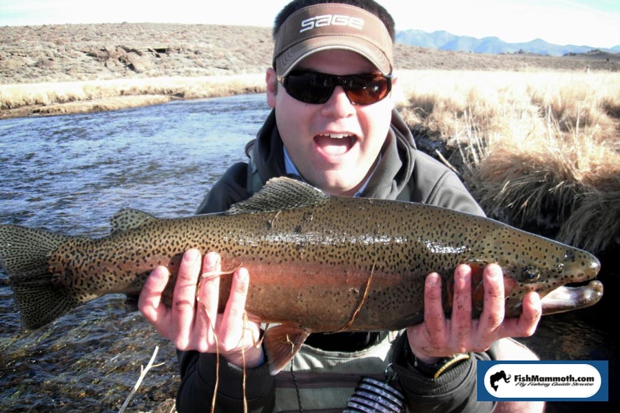 Fishing Equipment Rentals Mammoth Bound