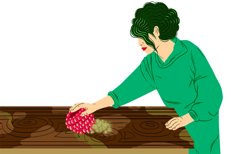 raspberry Mammoth Memory How to remember spelling