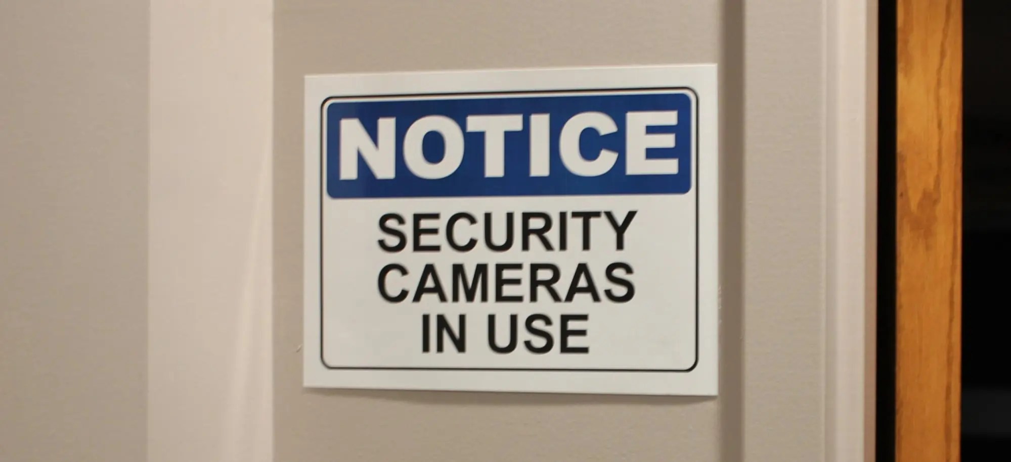 Guide to Security Cameras in Common Areas for Businesses Mammoth