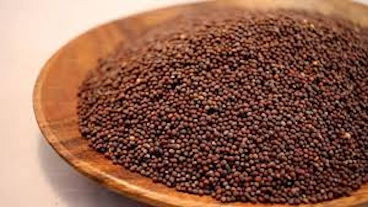 mustard seed benifits marathi Archives मनाचेTalks