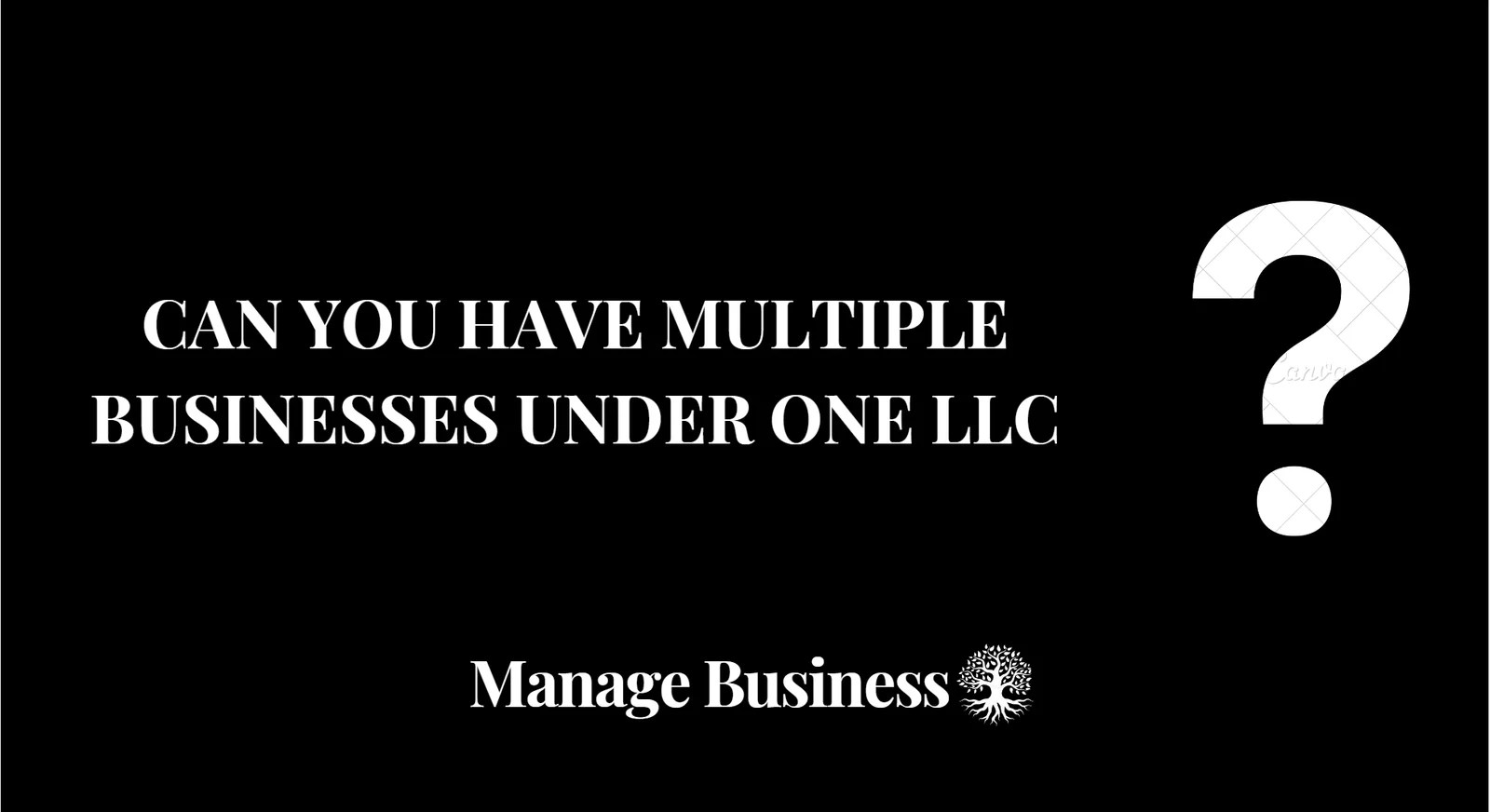 Can You Have Multiple Businesses Under One LLC in 2024? Manage Business