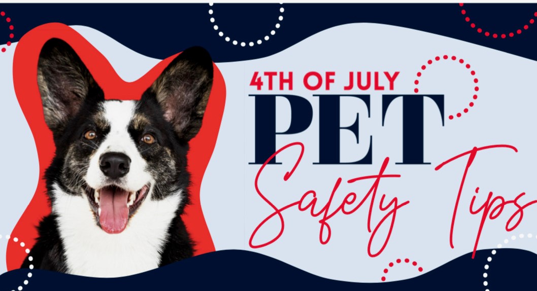 4th of July Pet Safety Tips