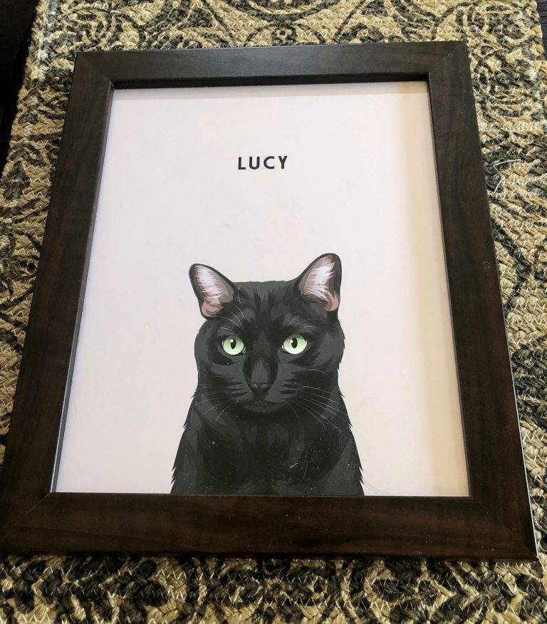 West & Willow Pet Portraits Make Perfect Present