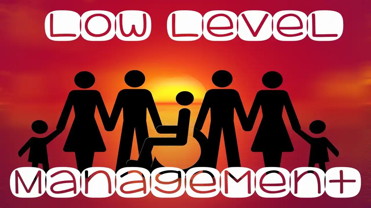 Low Level Management Example, Functions, Roles, Skills