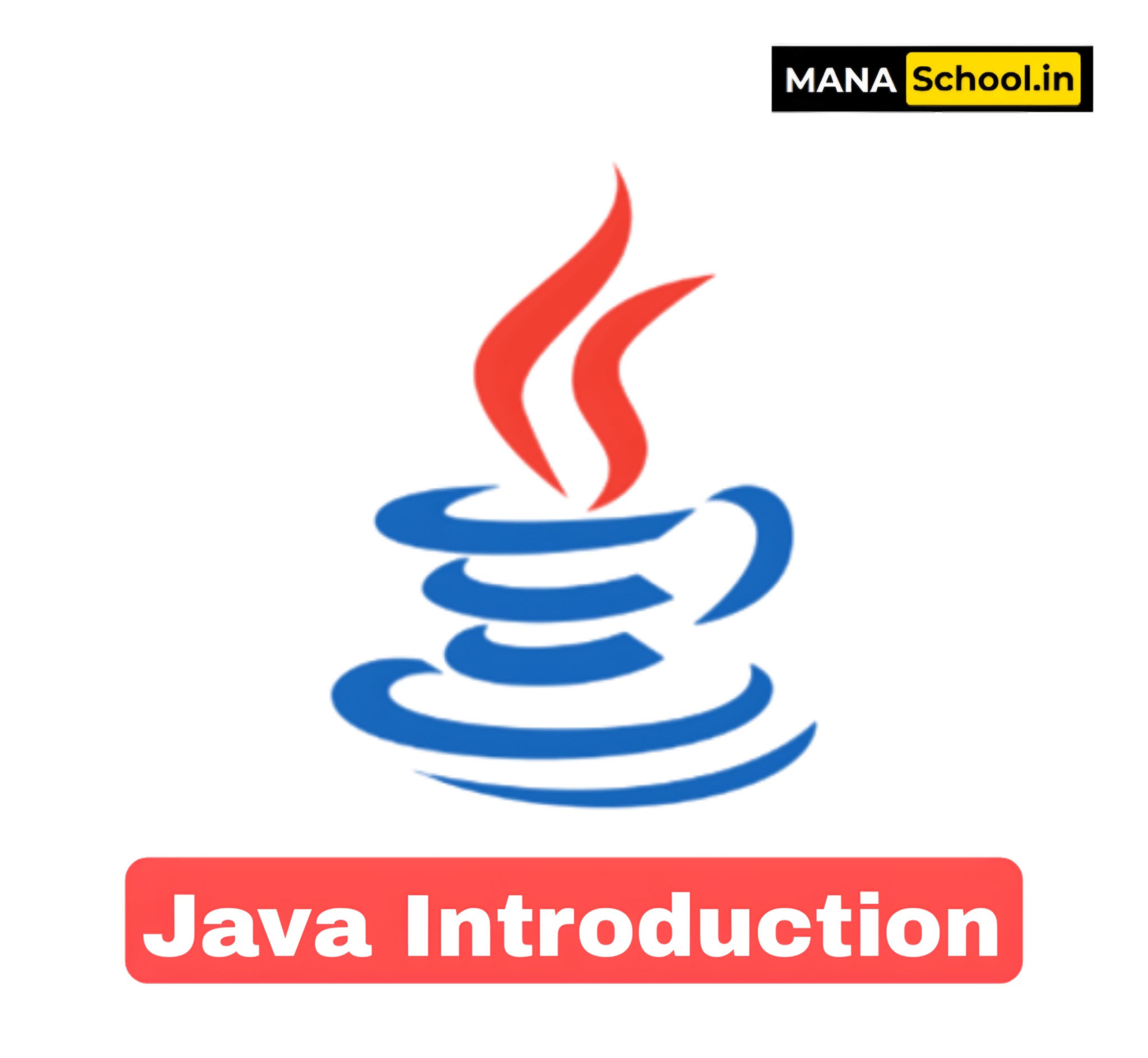 Java MANASchool