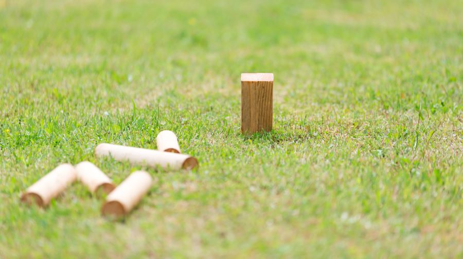 Best Kubb Game!
