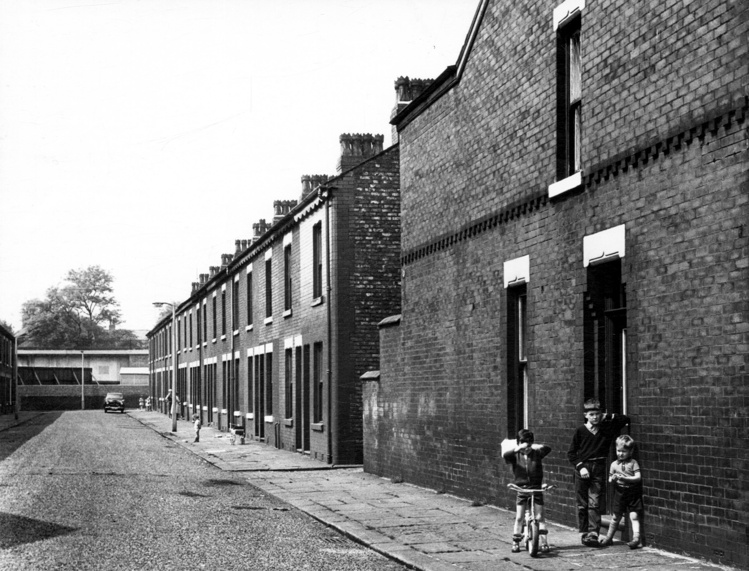 Online Memory Box Longsight LaptrinhX / News