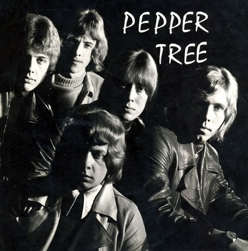 Pepper Tree (Oldham area Chadderton, Milnrow and Glodwick Abbeyhills)