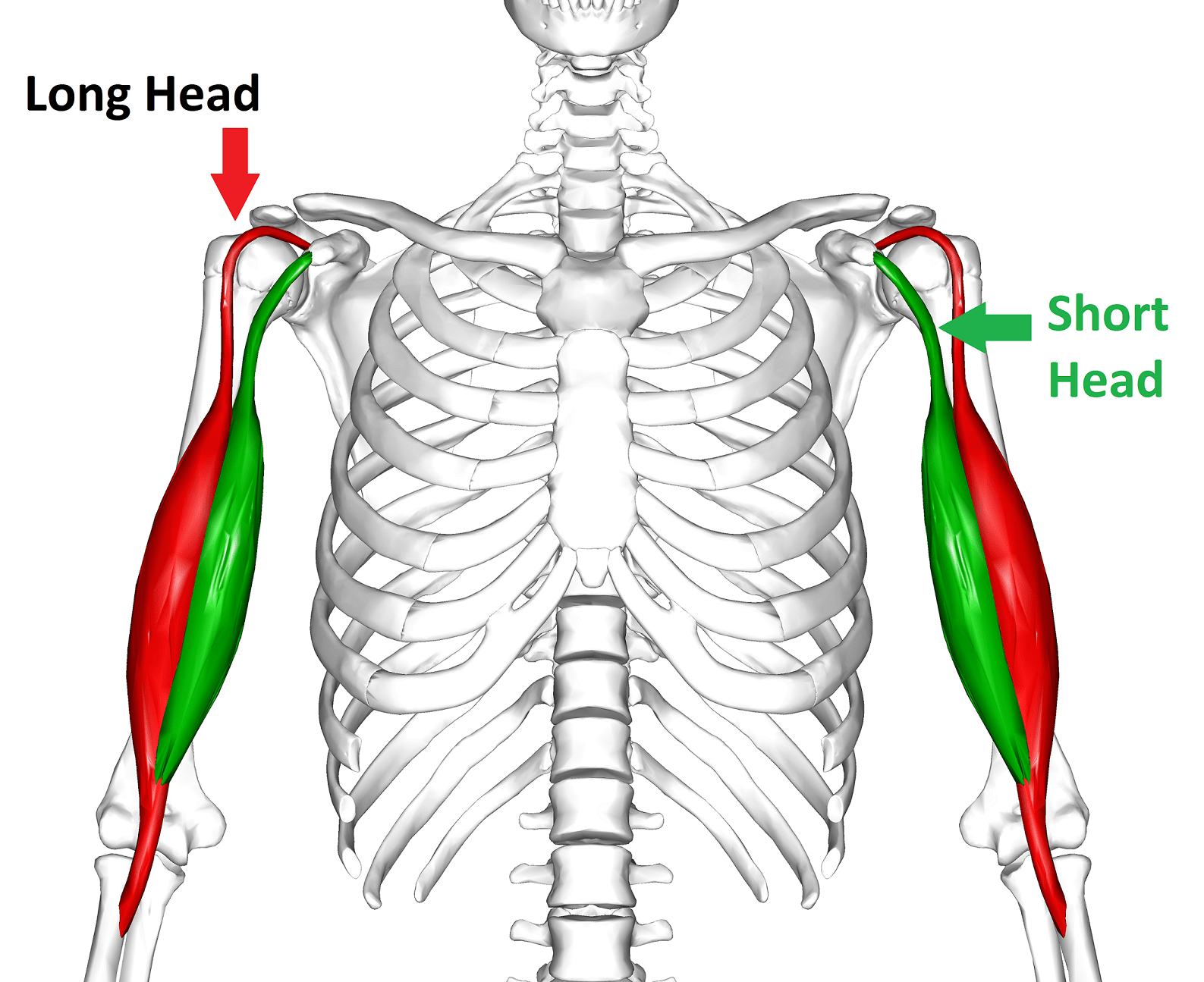 Overview of Cavs G Kyrie Irving’s Bicep Injury A ManChild's Ramblings