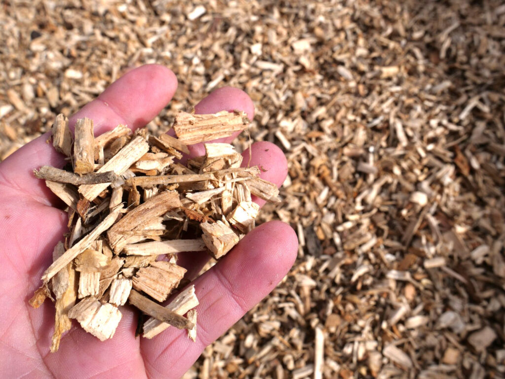 How to use wood chips in a gas BBQ » BBQ Wood Chips » Mancoed