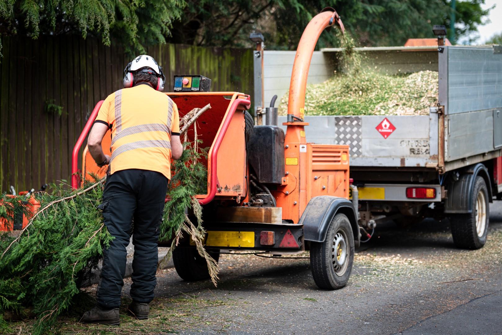 Tree Waste Disposal » FREE Tree Disposing » Man Coed VM Ltd