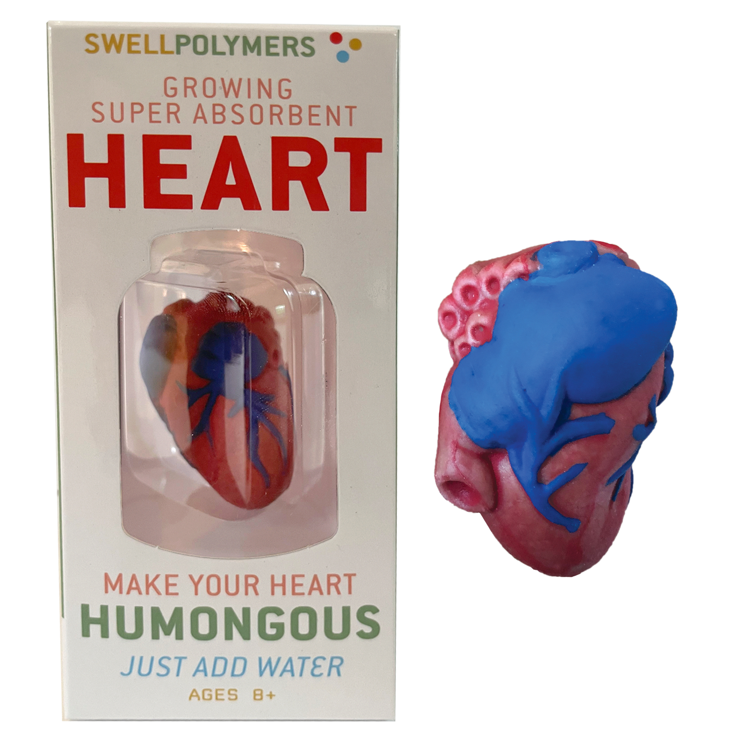 Polymer Heart (Extra Large Swell) Mancuso Science
