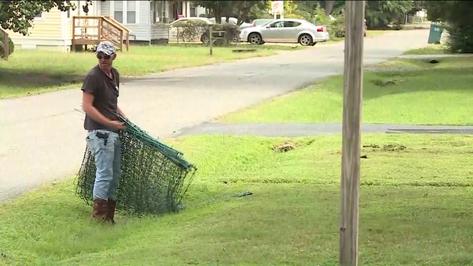 Piss On Electric Fence Telegraph