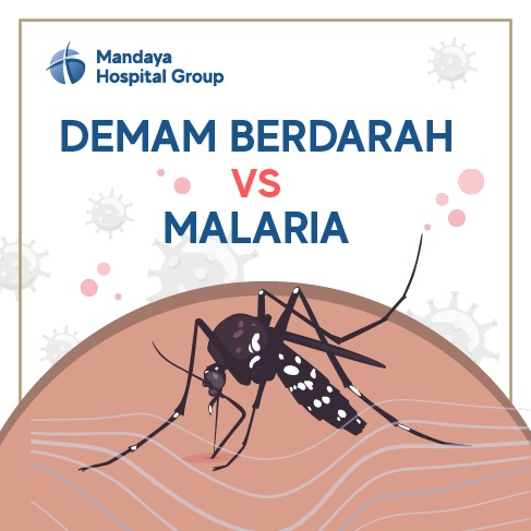 Perbedaan Malaria & Demam Berdarah - Mandaya Hospital Group