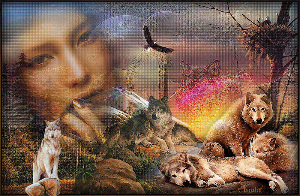 LE REPOS DE LA MEUTE DE CHANTAL