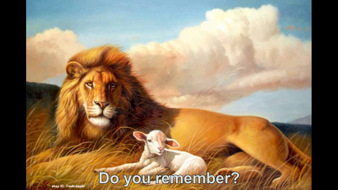 Lion and Lamb(Mandela Effect) Mandela Effects