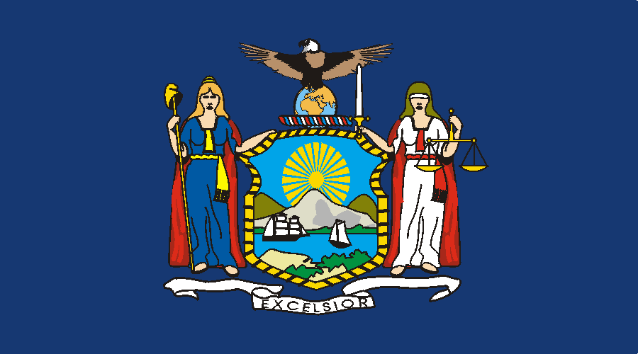 State of New York Foreclosure Resource Links Mandelman Matters