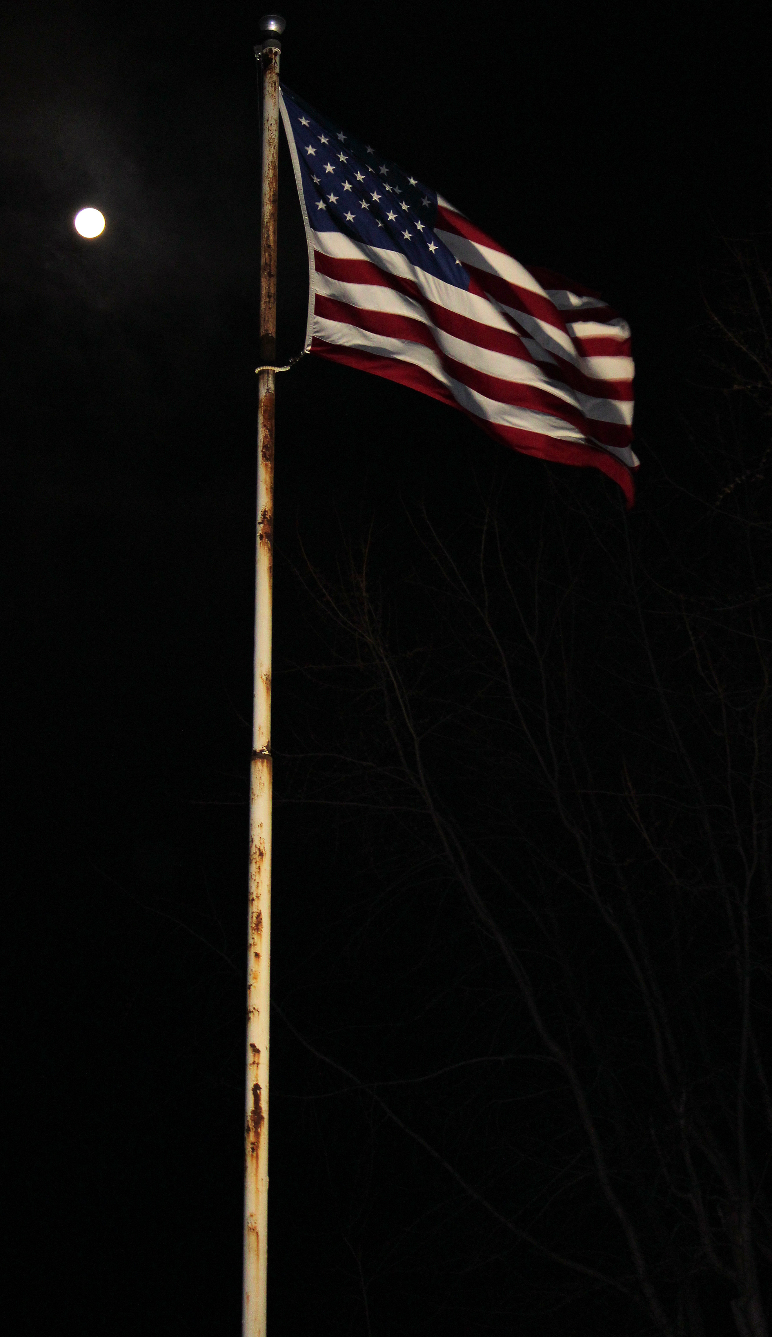 Illinois Deer hunts, Trophy white tail deer hunting with Mounts and