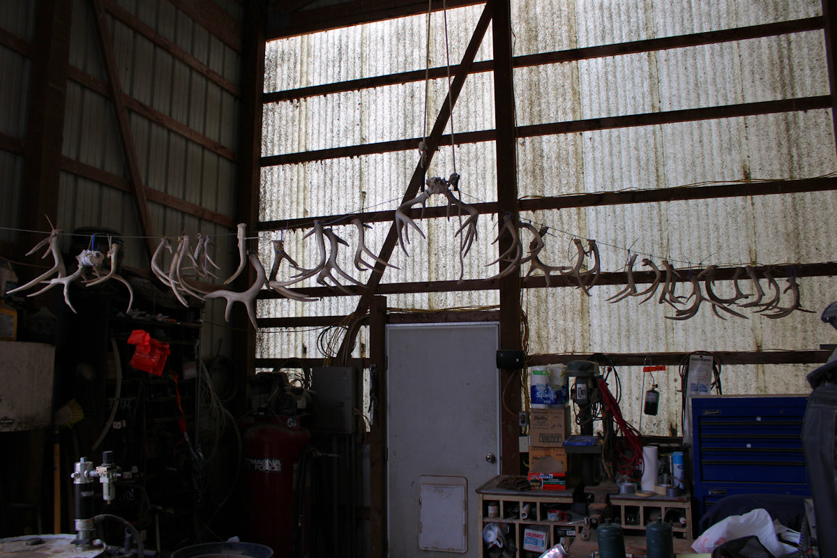 Illinois Deer hunts, Trophy white tail deer hunting with Mounts and