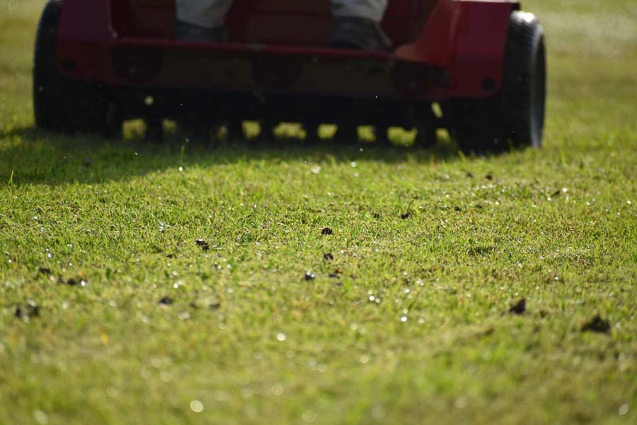 Gallery M & M Lawn & Irrigation