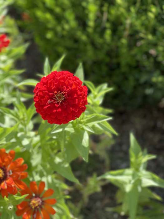 Gallery M & M Lawn & Irrigation