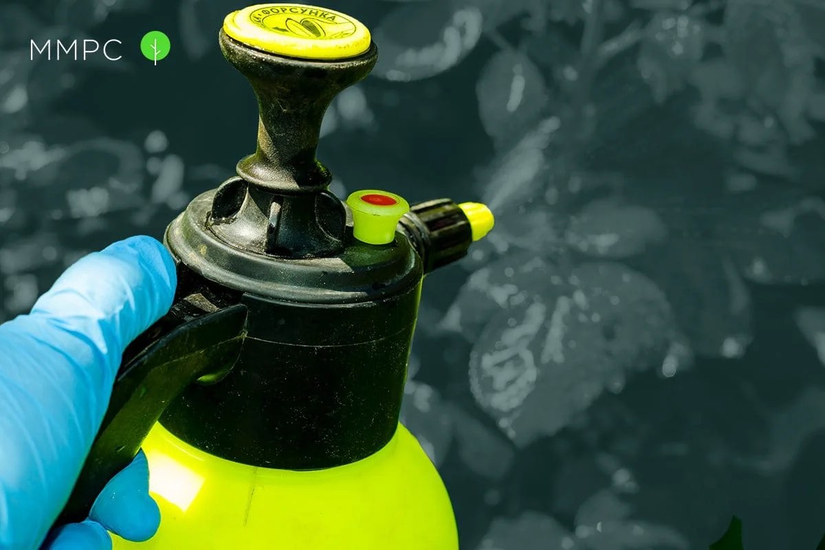 FAQ Spraying Your Yard for Mosquitoes