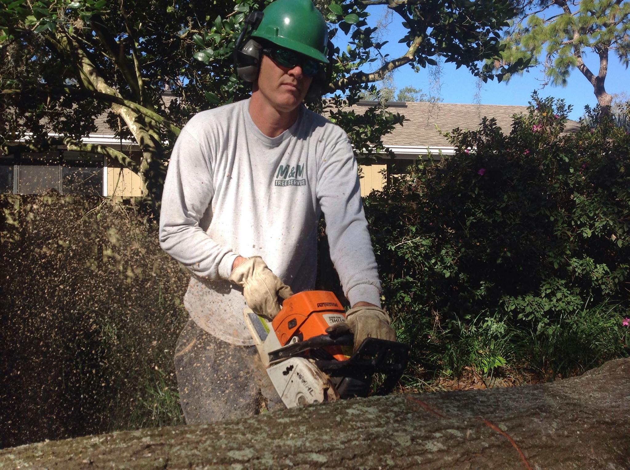 Tree Service M & M Tree Service