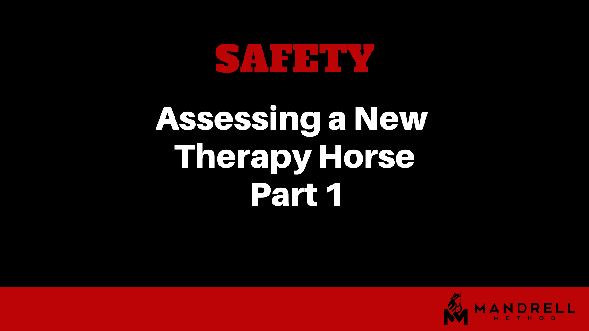 Assessing a New Therapy Horse Part 1 The Mandrell Method Equine