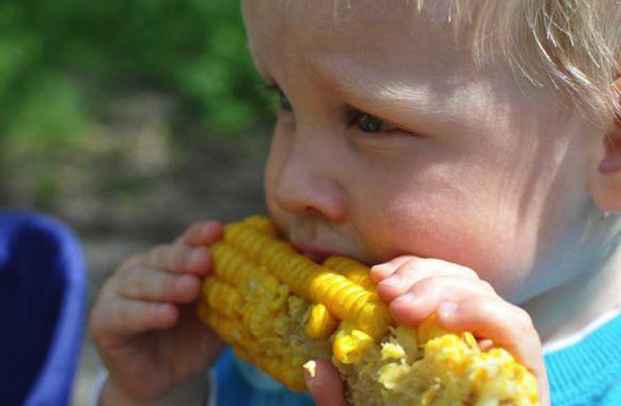M&S Produce and Deli Outlet Egg Harbor Township, NJ