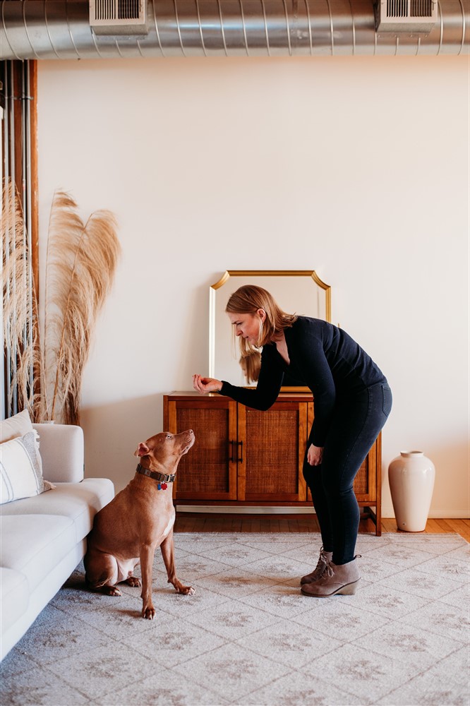 Mandy’s Dog Training Park Ridge Dog Training