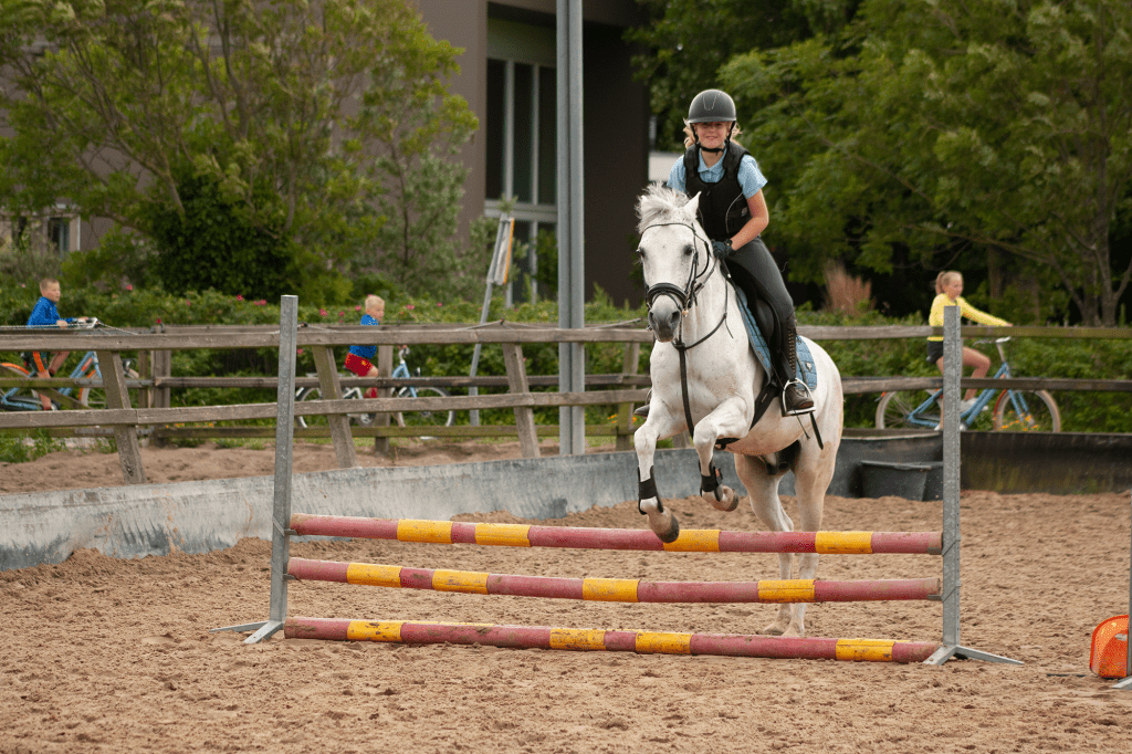 Paardrijden bij Manege de Hoef Manege de Hoef