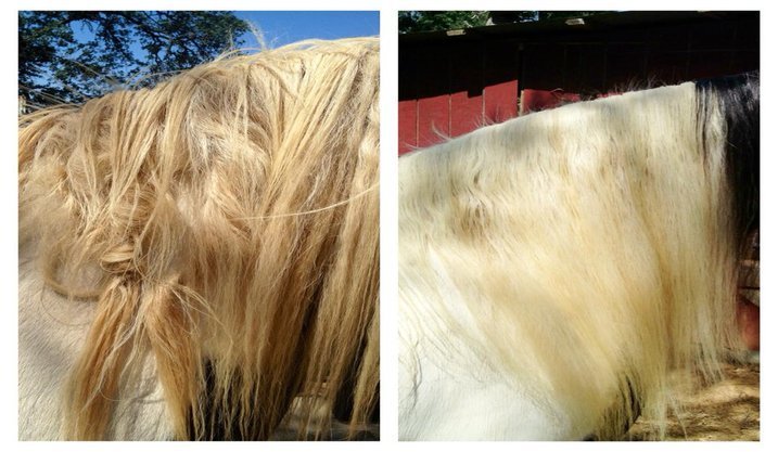 Home Manely Long Hair