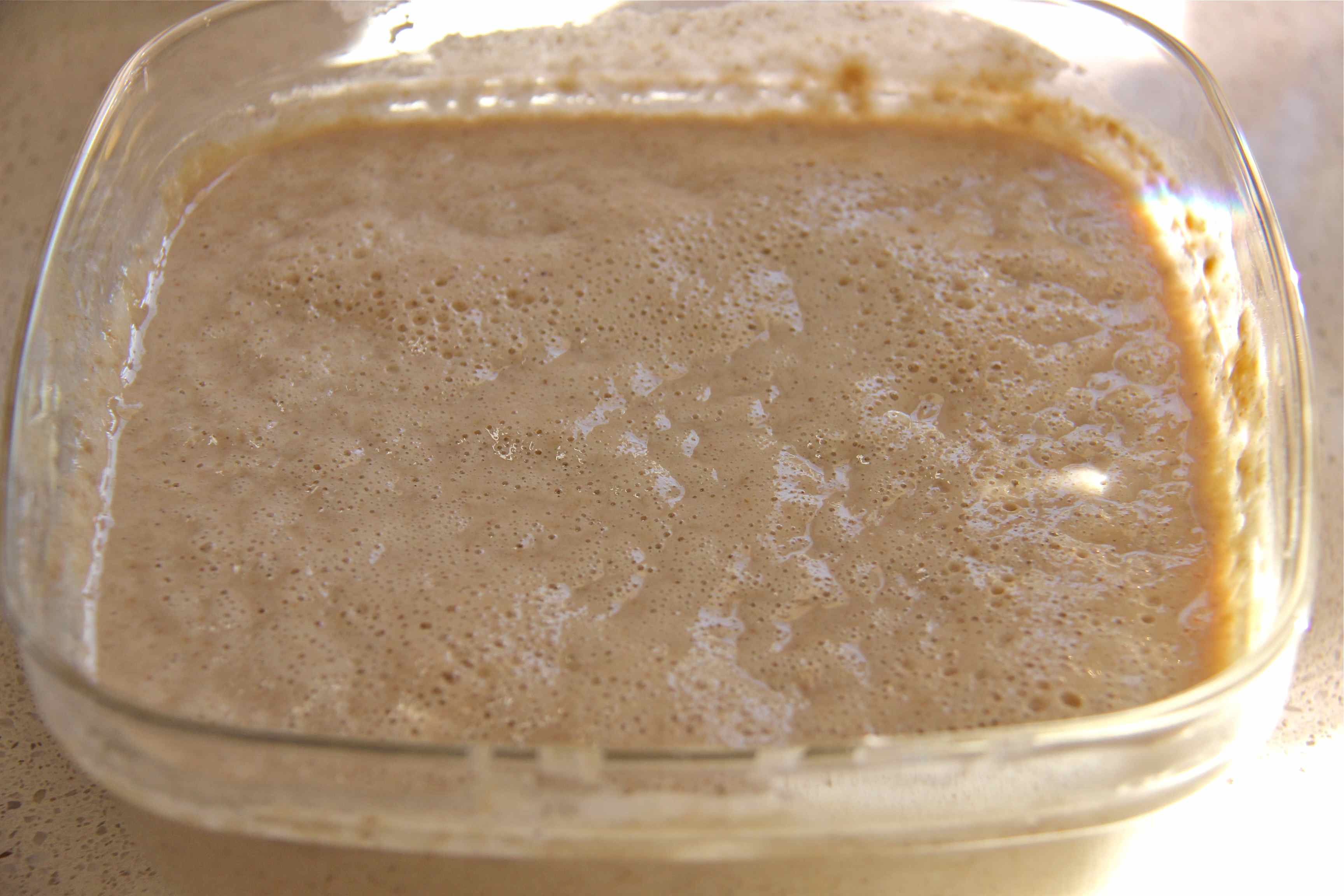 Levain liquide MangezMoi.fr