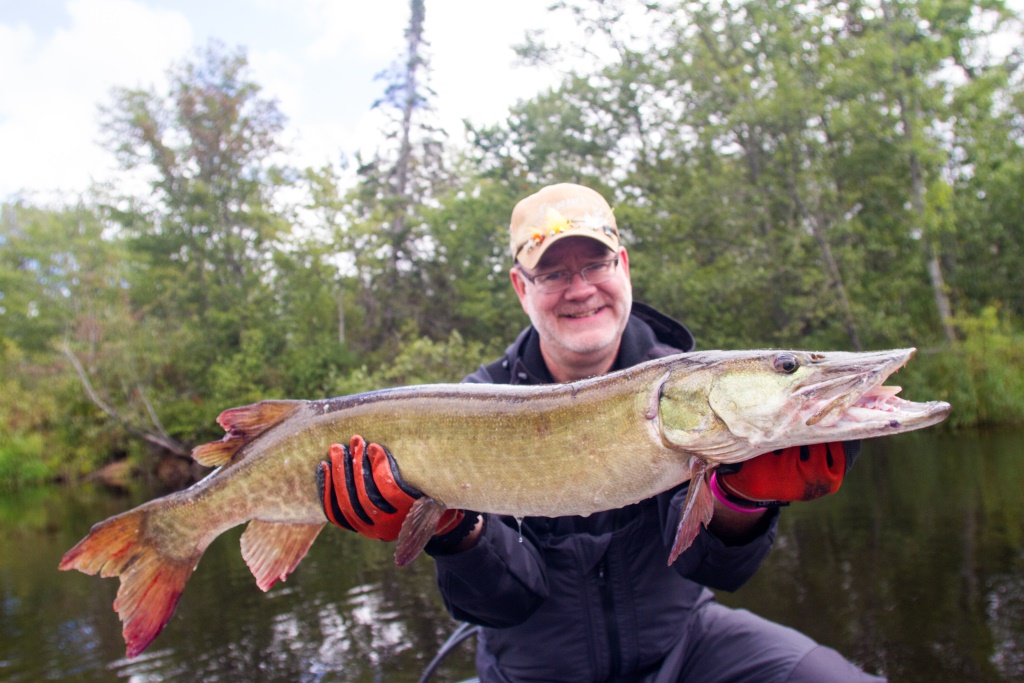 Muskie Madness A Journey Northern Michigan Guide Service