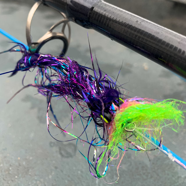 Pic of the Day New Steelhead Swing Colors Northern Michigan Guide