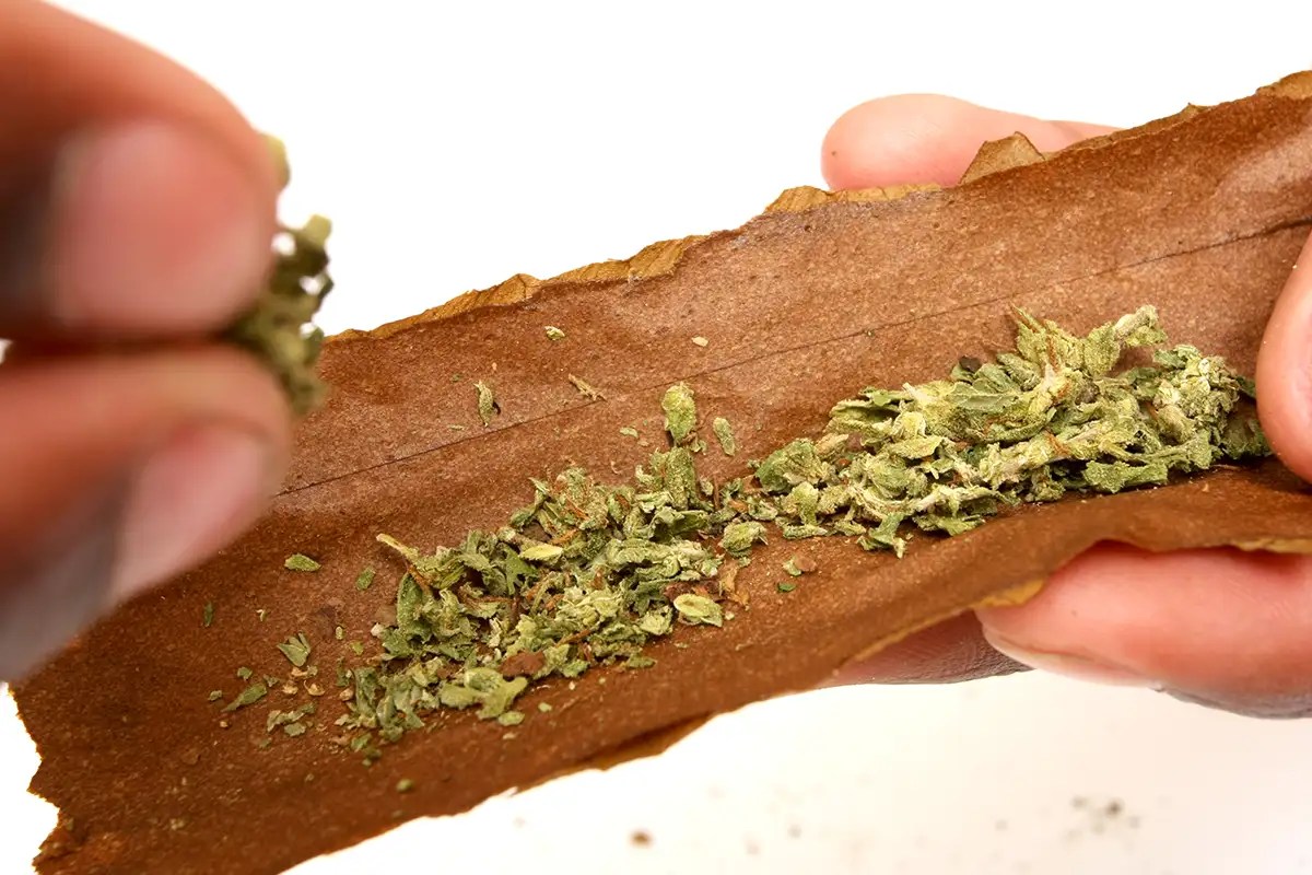StepbyStep Guide on How to Roll a Perfect Blunt Like a Pro