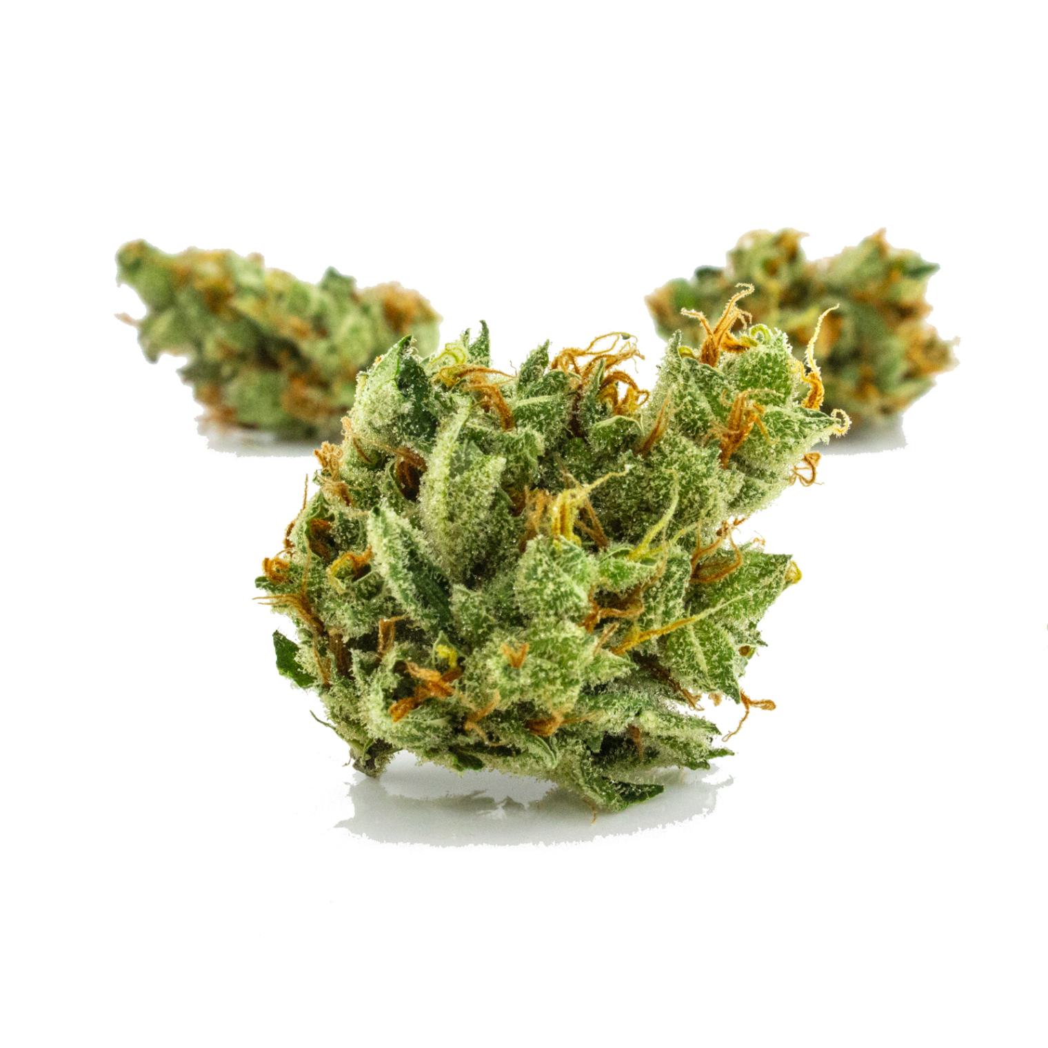 Explore Lemon Haze Strain THC Levels, and Origins