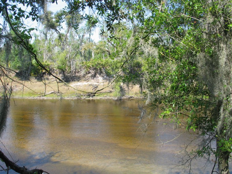 Peace River more photos of 10 acres