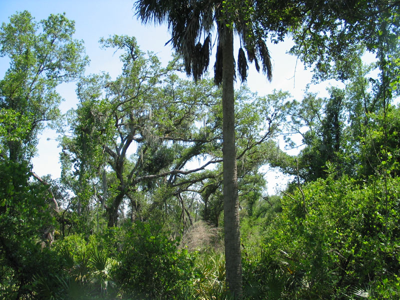 Peace River more photos of 10 acres