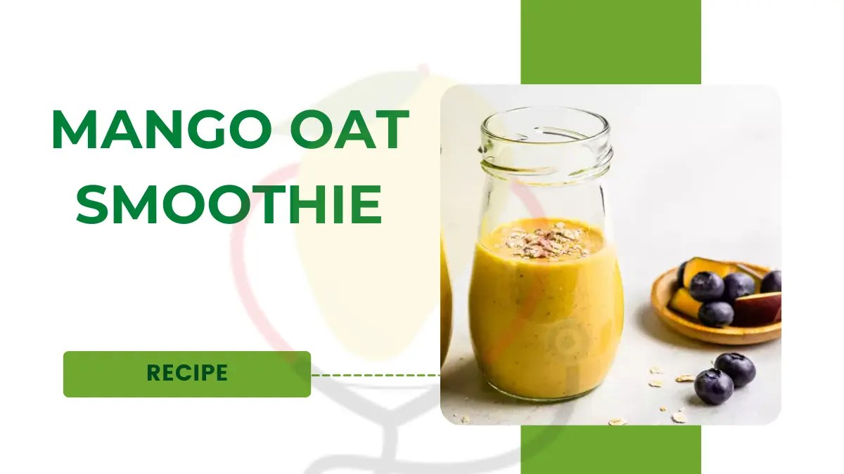 Mango Oat Smoothie Recipe Mango Dose