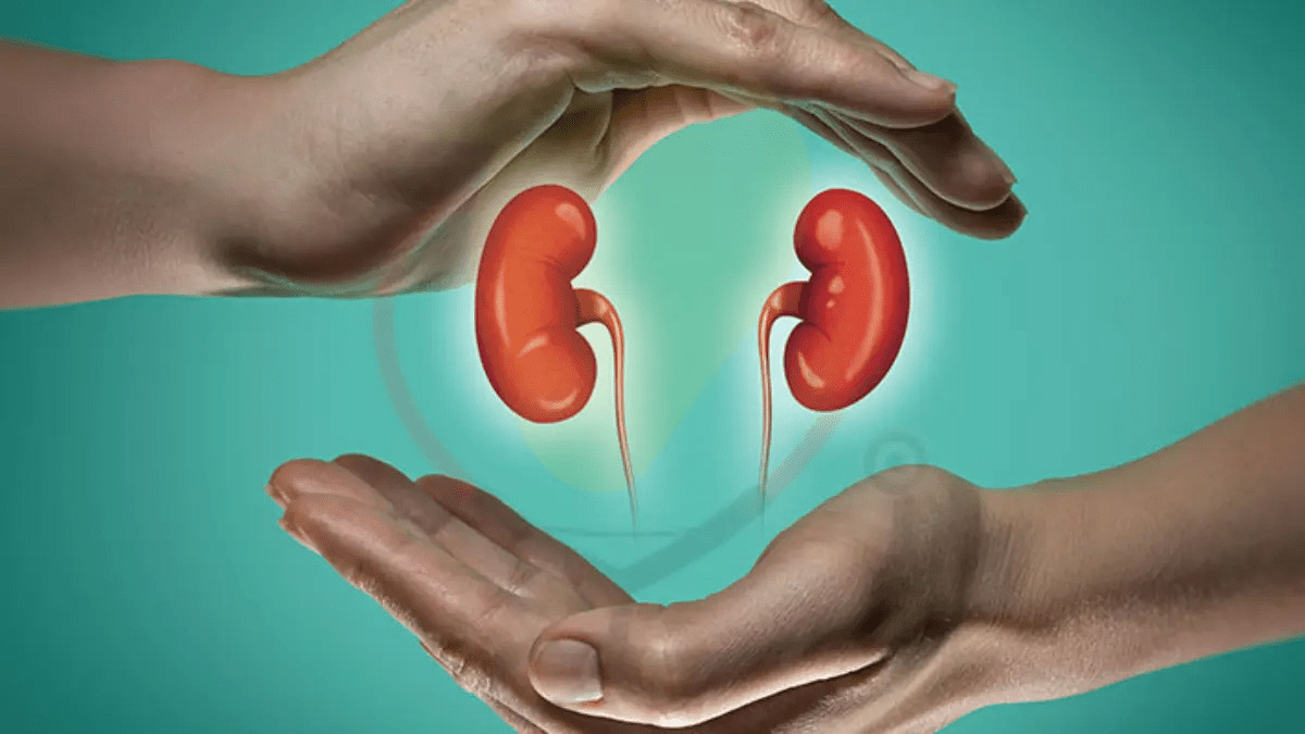 Benefits of Mango for kidney Mango Dose