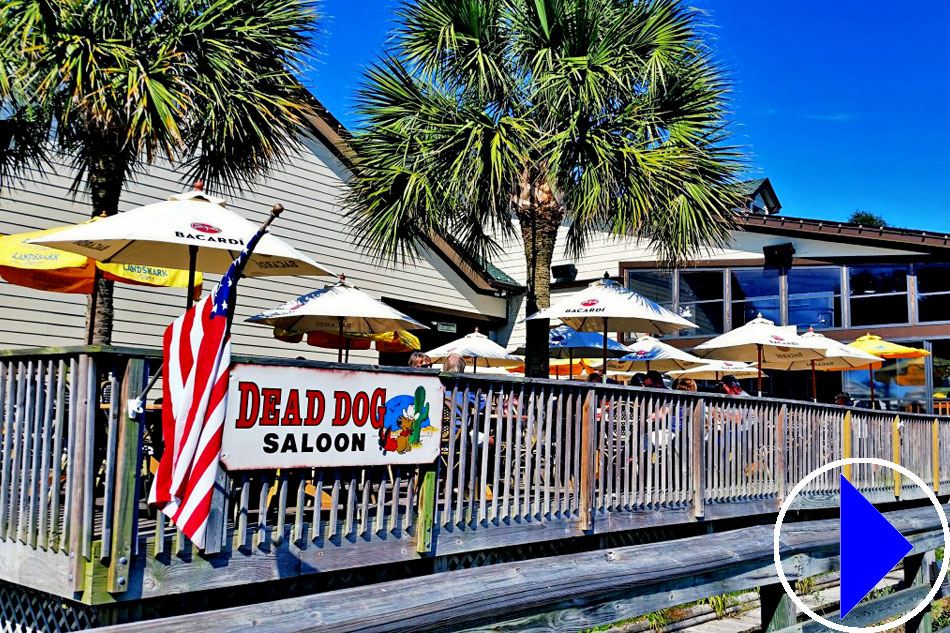 Live Streaming Webcam Dead Dog Saloon South Carolina