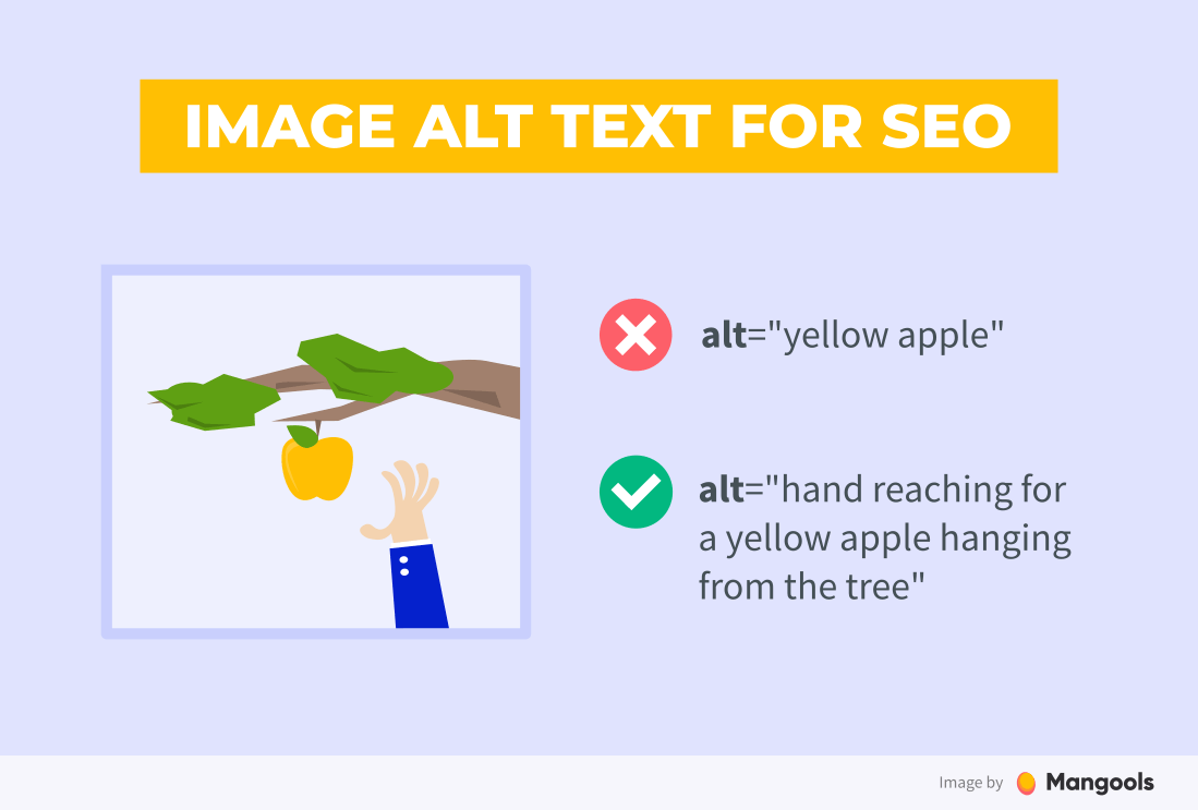 Image Alt Text Why It Is Important for SEO? Mangools