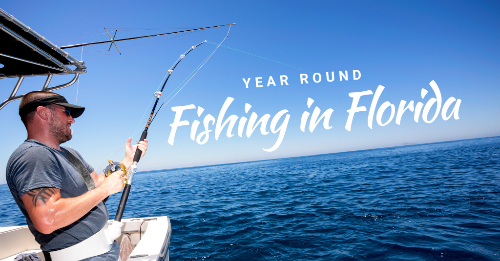 Year Round Florida Fishing in Islamorada