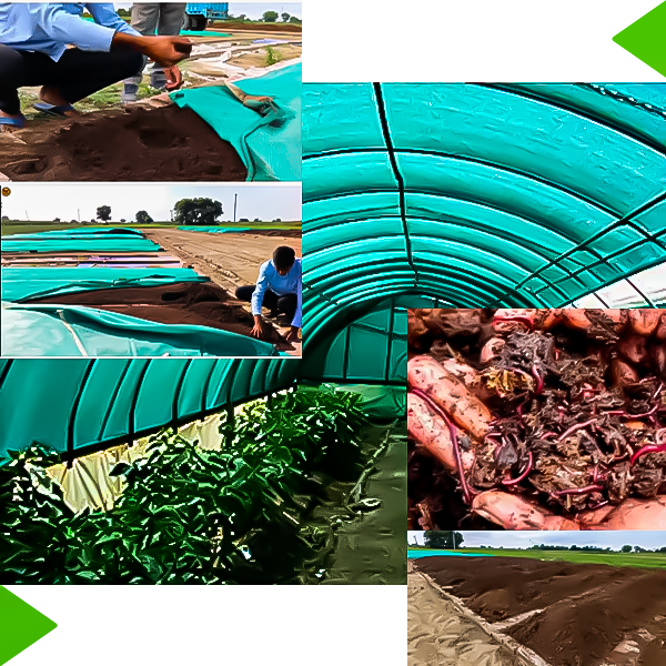 Mangul Agro Agricultural Organization in Bhubaneswar,Odisha