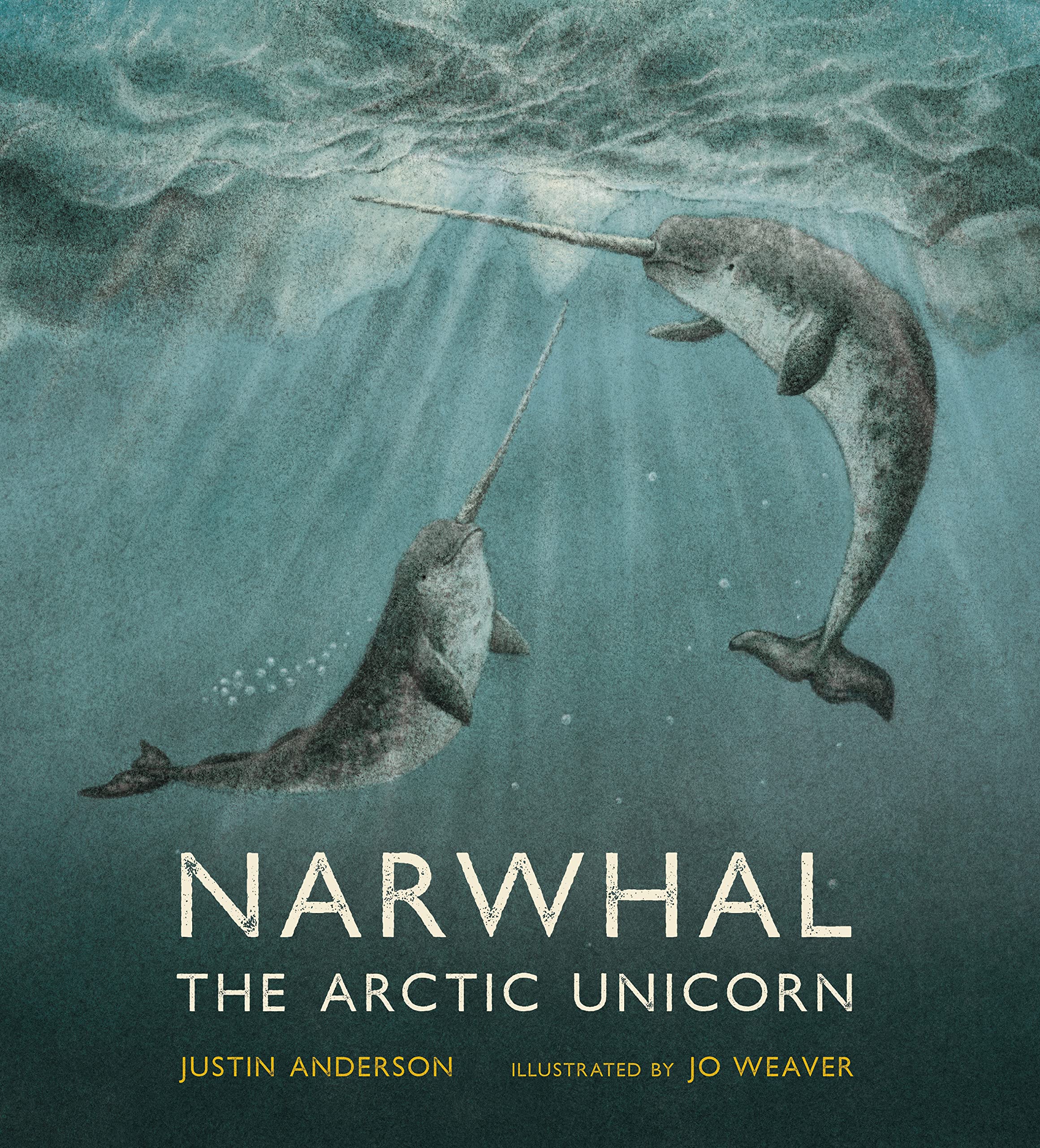 Narwhal The Arctic Unicorn Manhattan Book Review