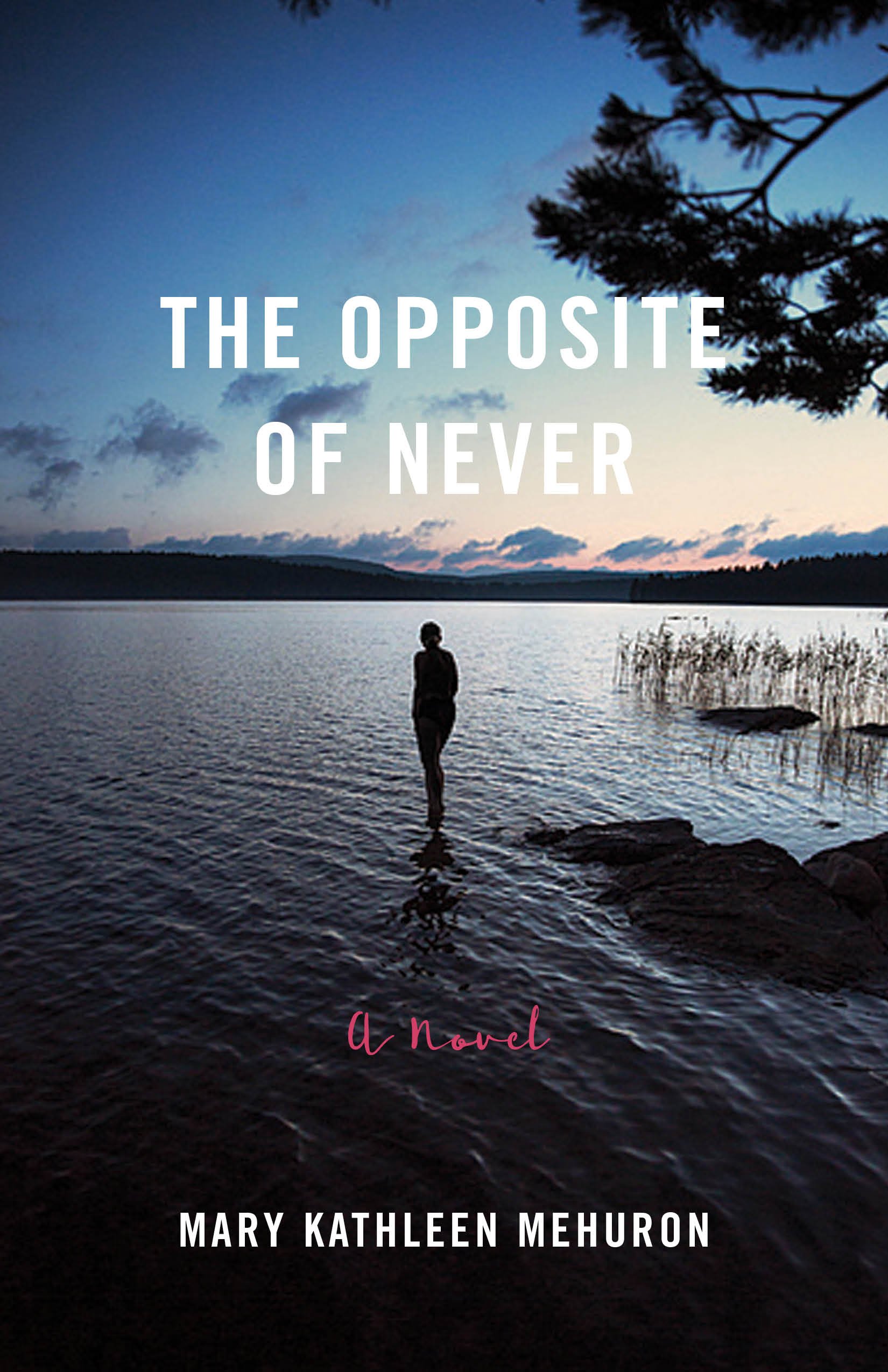 The Opposite of Never A Novel Manhattan Book Review