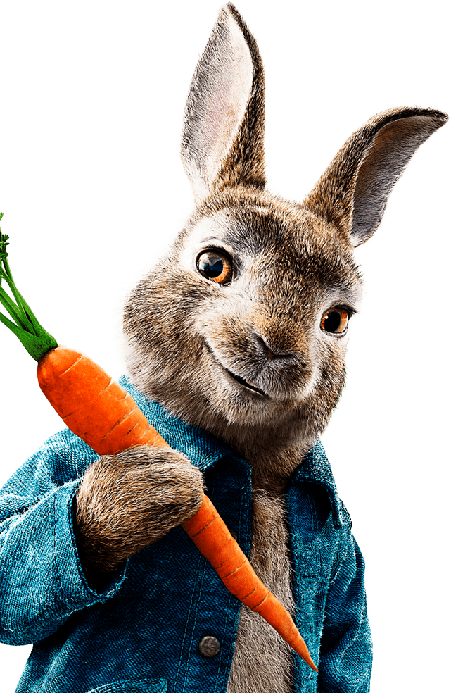 Peter Rabbit Png Free Peter Rabbitpng Transparent Images 28761 Images