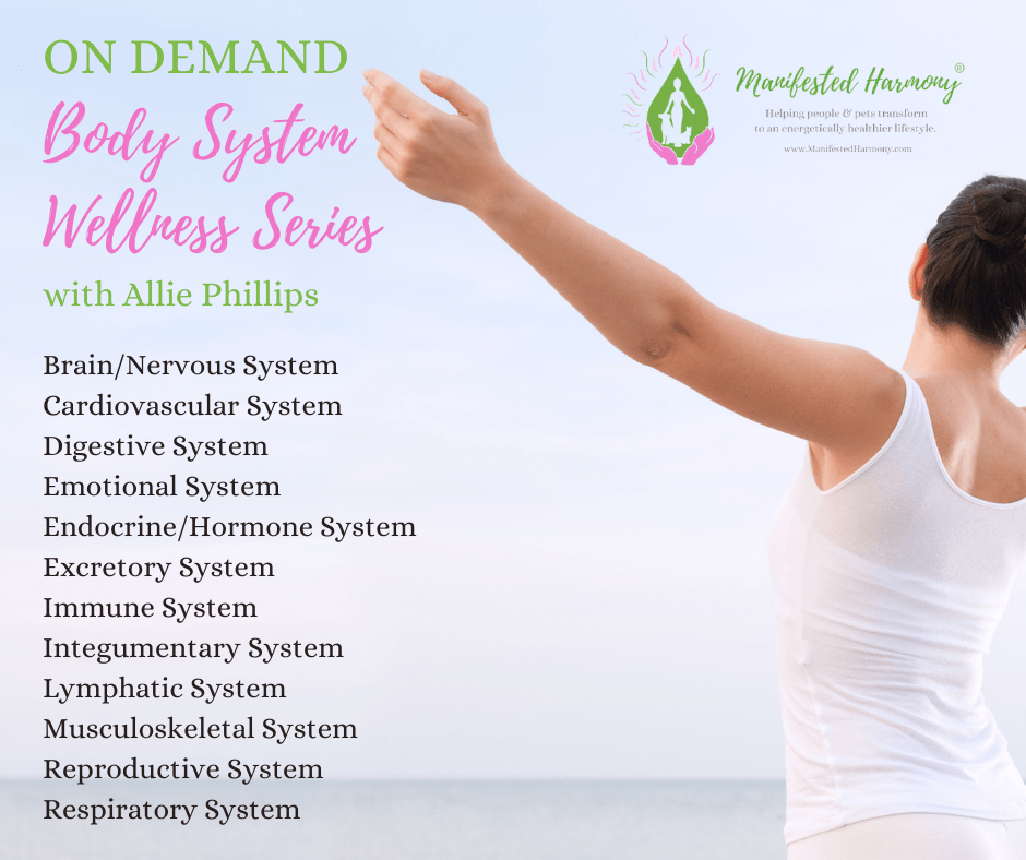 Body System Wellness Series Manifested Harmony