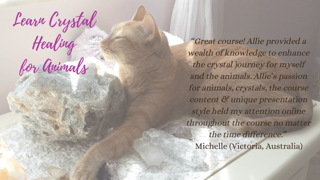 Crystal Healing for Animals Manifested Harmony